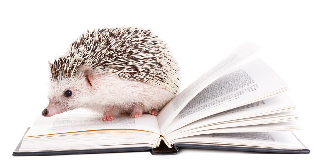 IGEL = individuelle Gesundheitsleistungen